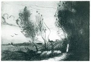 Winds Prints: Windy Weather