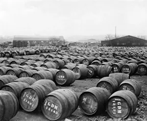 Wine Barrels