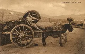 Vine Yard Prints: Wine Cart - Italy