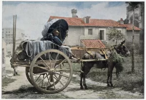 A wine cart in the outskirts of Rome. Date: 1890s