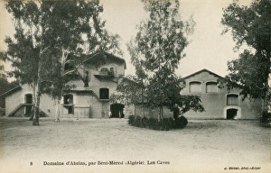 Images Dated 7th December 2015: The wine caves of the Abziza Farm. Beni-Md, Algeria