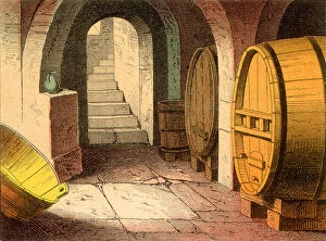 Lifestyles Collection: Wine Cellar Date: 1880