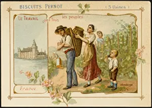 Pernot Prints: Wine, France
