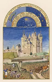 1487 Prints: Wine Harvest, Saumur
