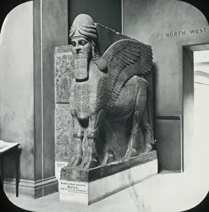Housed Prints: A wing man-headed bull. Nimrod (British Museum)