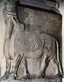 Headed Collection: Winged Assyrian Bull