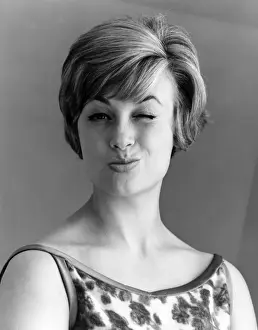 Winking Model