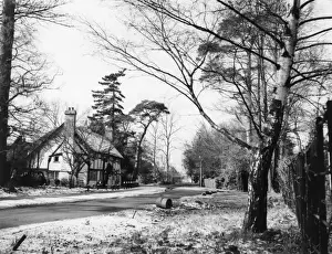 Winter at Bilton