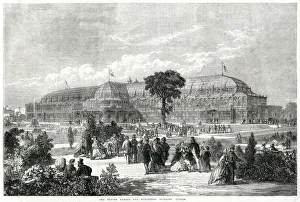 Victorians Collection: Winter Garden Exhibition, Dublin 1865