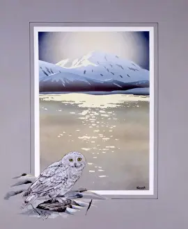 Winter lake with mountains with Snowy Owl