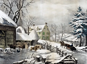 Winter Scenes Gallery: Winter Morning