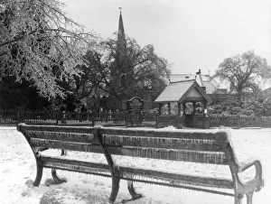 Images Dated 16th June 2011: Winter in the Park