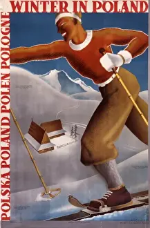 Tanned Prints: Winter in Poland