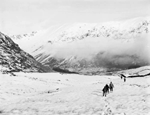 Adverse Gallery: Winter Ramblers