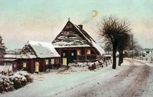 Winter Scene