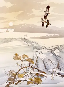 Thorns Prints: Winter scene with birds and snow