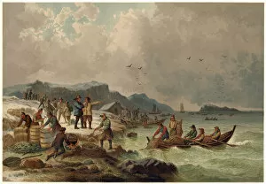 Winter scene on the coast of Bergen, Norway, fishermen bringing in their catch of herring
