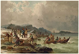 Images Dated 9th July 2021: Winter scene on the coast of Bergen, Norway, fishermen bringing in their catch of herring