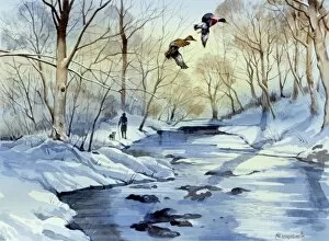 Winter Scenes Gallery: Winter scene with frozen river and two flying ducks