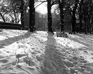 Shining Collection: A winter scene on Hampstead Heath, London, with the sun shining on tracks in the snow