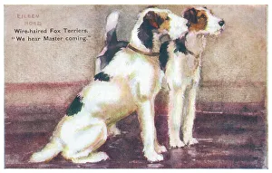 Geographia Prints: Wire-haired Fox Terriers