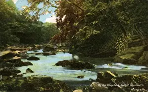 Morpeth Prints: On the Wisbeck, Bothal Woods, Northumberland