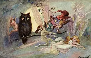 Wise owl and pixies