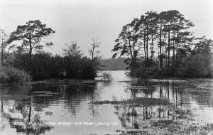 Guildford Prints: Wisley Hut Pond