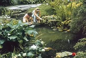 Wisley Prints: Wisley Rock Garden