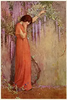 Wisteria Prints: The Wisteria Girl