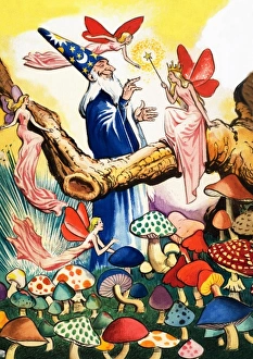 Images Dated 24th October 2006: Wizard in the Mushroom Forest