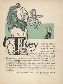 Wizard of Oz / Lion