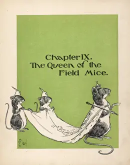 Wizard of Oz / Queen
