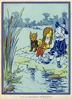 Wizard of Oz. Scarecrow