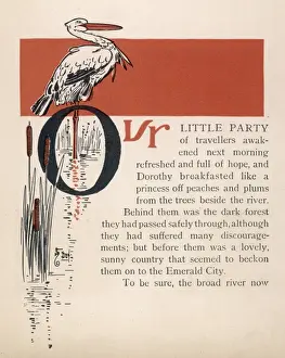 Wizard of Oz / Stork