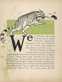 Wizard of Oz / Wildcat