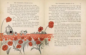 Woodsman Gallery: Wizatd of Oz / Poppy Field