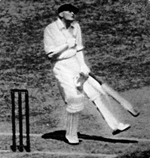 Jardine Collection: W.M. Woodfull struck by a cricket ball, Melbourne Cricket Gr