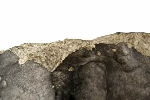 Treasures Gallery: Wold Cottage meteorite (detail)