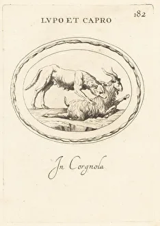 Carnelian Prints: A wolf attacking a ram