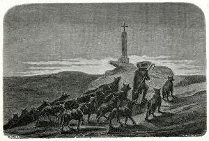 Images Dated 13th February 2019: Wolf Charmer
