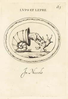 Hiding Prints: A wolf hiding in a snail's shell to attack a hare