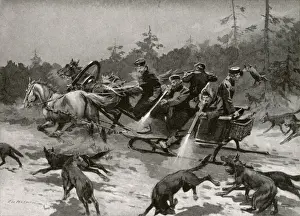 Wolves Prints: A wolf hunt - Russia