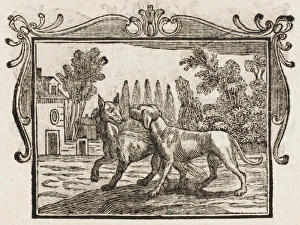 Dodsley Gallery: The Wolf & the Mastiff