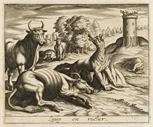 Sends Prints: Wolf Turned to Stone
