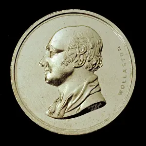 Palladium Prints: Wollaston Medal of the Geological Society