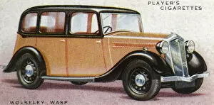 Saloon Collection: Wolseley Wasp