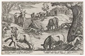 Live Stock Collection: Wolves Attack Livestock