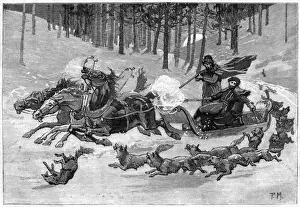 Defend Prints: Wolves and Sledge