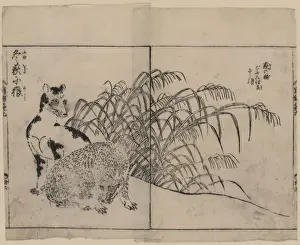 Wolves Prints: Wolves and winter reeds